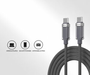 LOOMIC-Type-C Voltis Type-C (65W